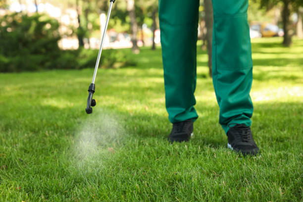 Best Best Pest Control Companies  in Ruleville, MS