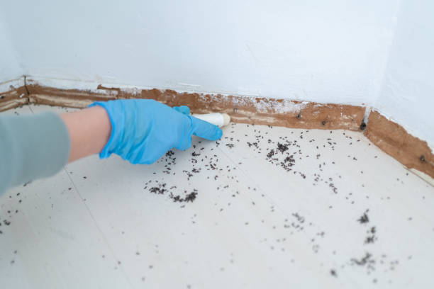 Best Affordable Pest Control Services  in Ruleville, MS